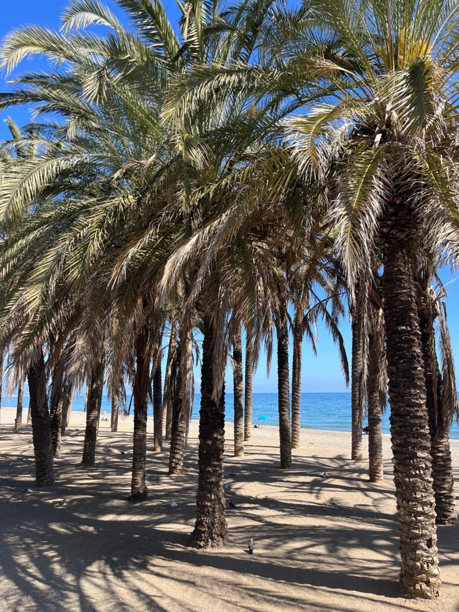 Apartamento Azul Torremolinos Extérieur photo